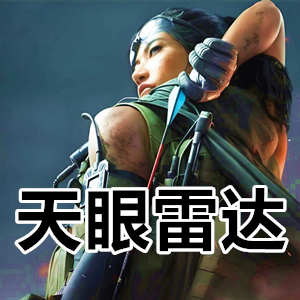 三角洲行动天眼RS雷达-手机网页分屏雷达，人物物资全透