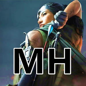 三角洲MH辅助-功能齐全全物资显示，大帝强者护航