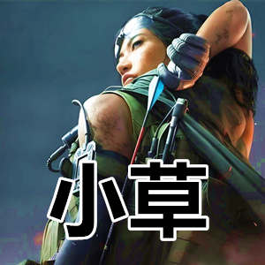 三角洲行动小草-全功能独立驱动，随机引擎写法稳登王座