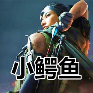 三角洲行动小鳄鱼-极致体验顺滑透视加精准预判自瞄