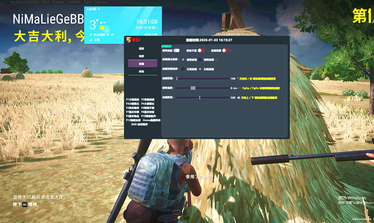 绝地求生保时捷兴宇辅助效果图